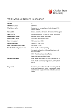 Annual Return Guidelines