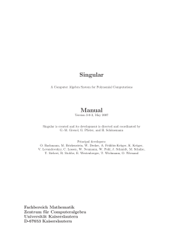 singular.pdf