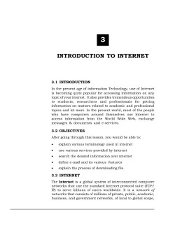 Introduction to Internet (239 KB)