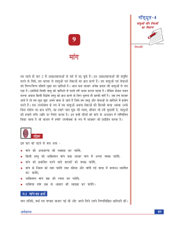 PDF file that opens in a new window