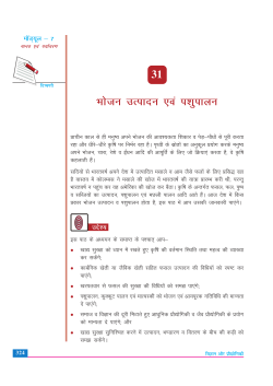 31. खाद्य उत्पादन (876 KB)