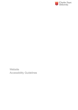 Download Website Accessibility Guidelines (PDF)