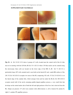 Supplementary information