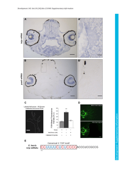 Supplementary information