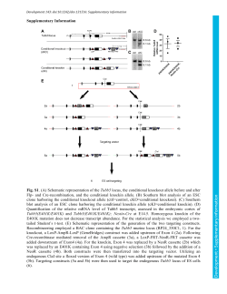 Supplementary information