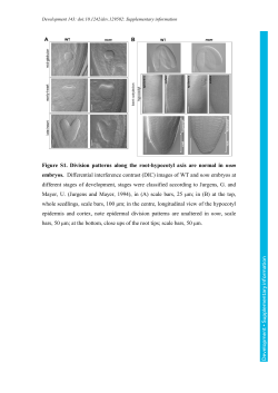 Supplementary information