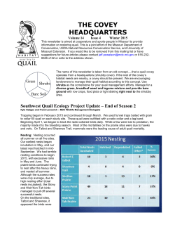 The Covey Headquarters, Winter 2015