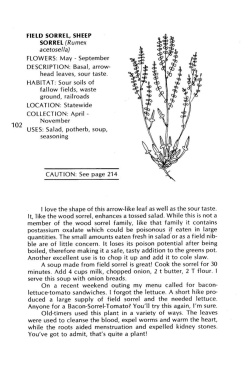 Green-Flowering Edibles, Field Sorrel, Sheep Sorrel - Buck Brush, Indian Currant, Coralberry