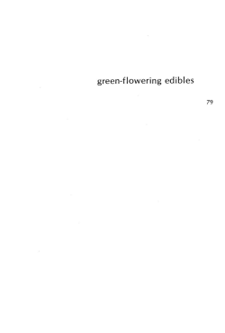 Green-Flowering Edibles, Cattail - Willows