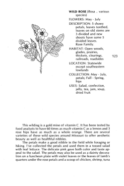Brown- and Red-Flowering Edibles, Wild Rose - Hollyhock