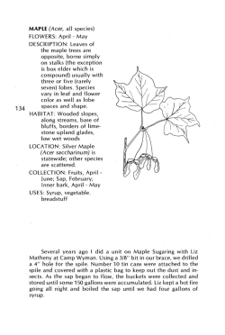 Brown- and Red-Flowering Edibles, Maple - Thistle