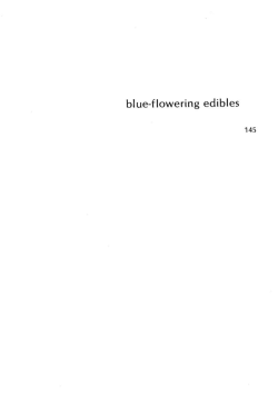 Blue-Flowering Edibles, Spiderwort - Chicory