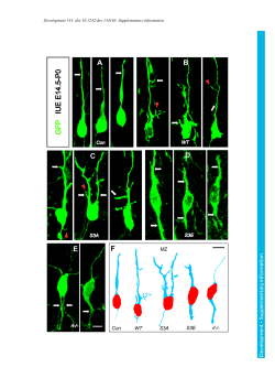 Supplementary information