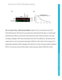 Supplementary information