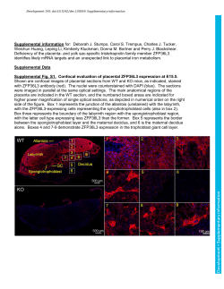 Supplementary information