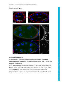 Supplementary information
