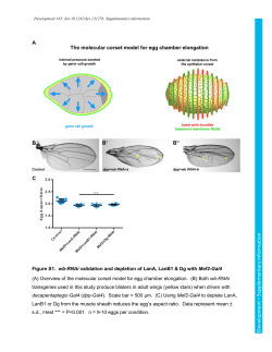 Supplementary information