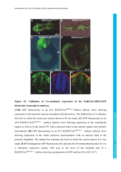 Supplementary information