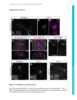 Supplementary information