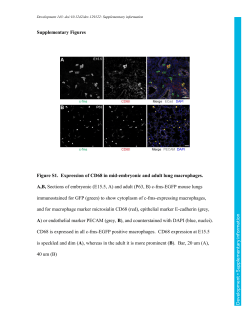 Supplementary information
