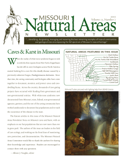 Missouri Natural Areas, Volume 13, No.1