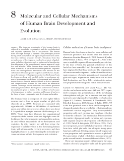 sousa 2014 book chapter