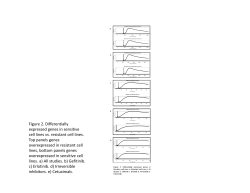 Download this supplementary material