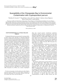Susceptibility of the Chesapeake Bay to Environmental Contamination with Crypotsporidium parvum