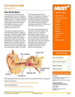 How The Ears Hear