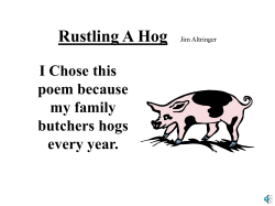 rustling a hog.ppt