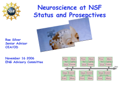 Neuroscience at NSF - R. Silver