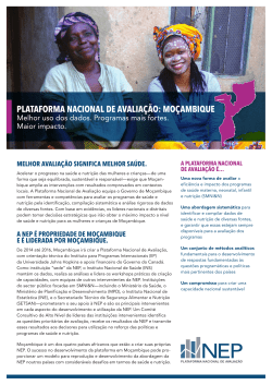 NEP Mozambique Brochure