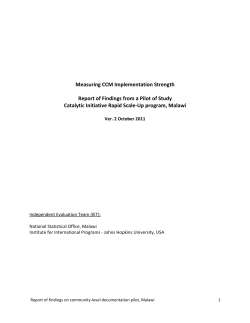 CHW Telephone Interview Pilot Report (Malawi)