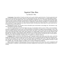 How to Build a Squirrel Den