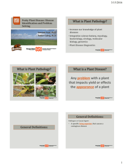 Pesky Plant Disease