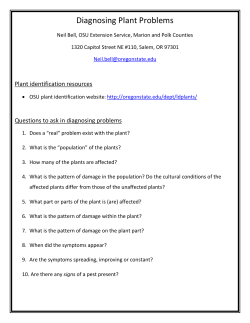 Problem Solving Handout