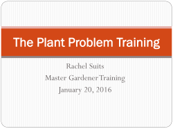 The Plant Problem Training