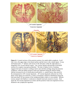 Ch17Fig8.pdf