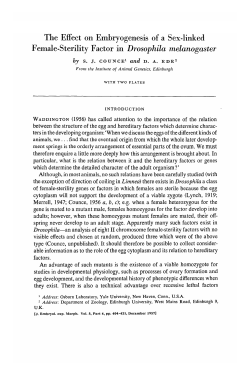 PDF