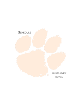 Create a New Section