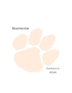 Provide an Override in iROAR