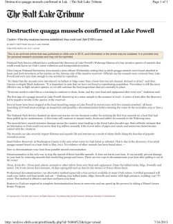 Destructive Quagga Mussels Confirmed At Lake Powell