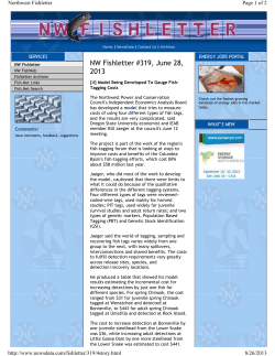 Model Being Developed To Gauge Fish Tagging Costs