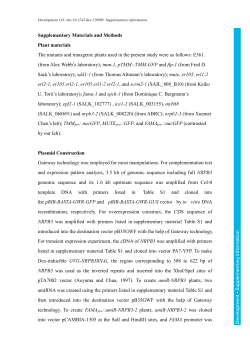 Supplementary information