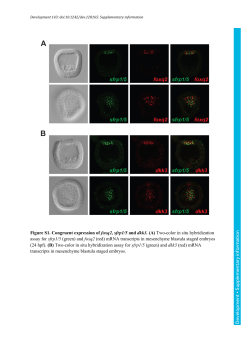 Supplementary information