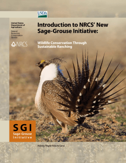 Sage Grouse Initiative (SGI) brochure