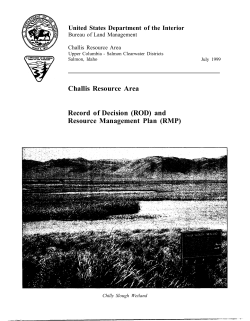 BLM Challis resource management plan (RMP)