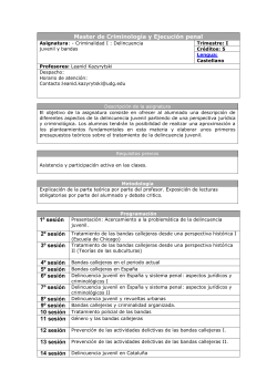 Optativa II: Criminalidad: Delincuencia Juvenil y Bandas