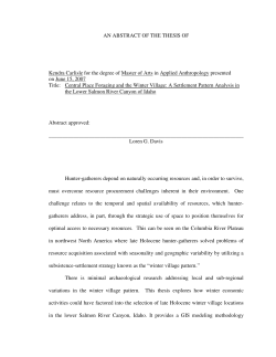 Central place foraging and the winter village: a settlement pattern analysis in the Lower Salmon River Canyon in Idaho
