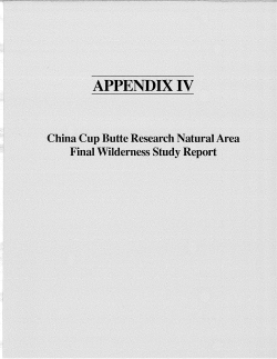 China Cup Butte